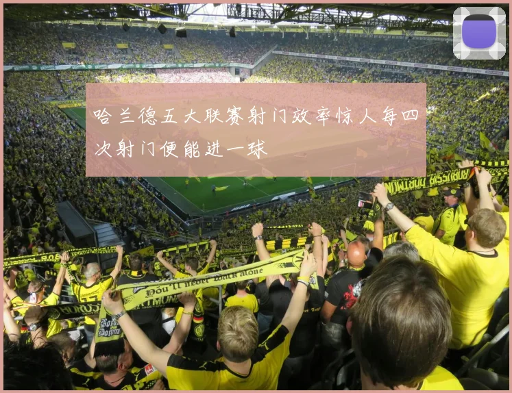 哈兰德五大联赛射门效率惊人每四次射门便能进一球
