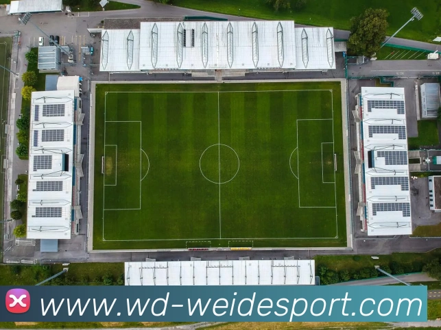 伟德体育APP 封面图