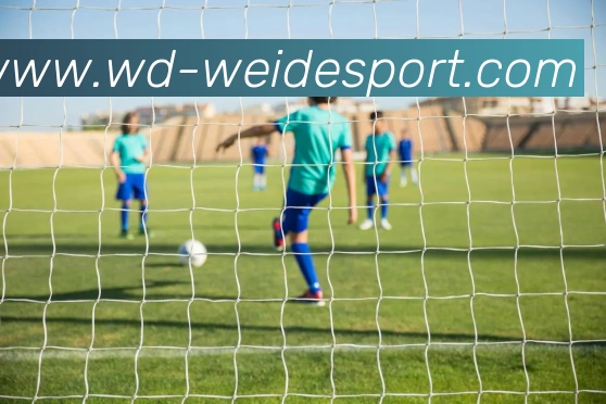 数据防护可视化